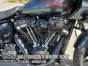 2025 Harley-Davidson® Low Rider™ ST thumb 1