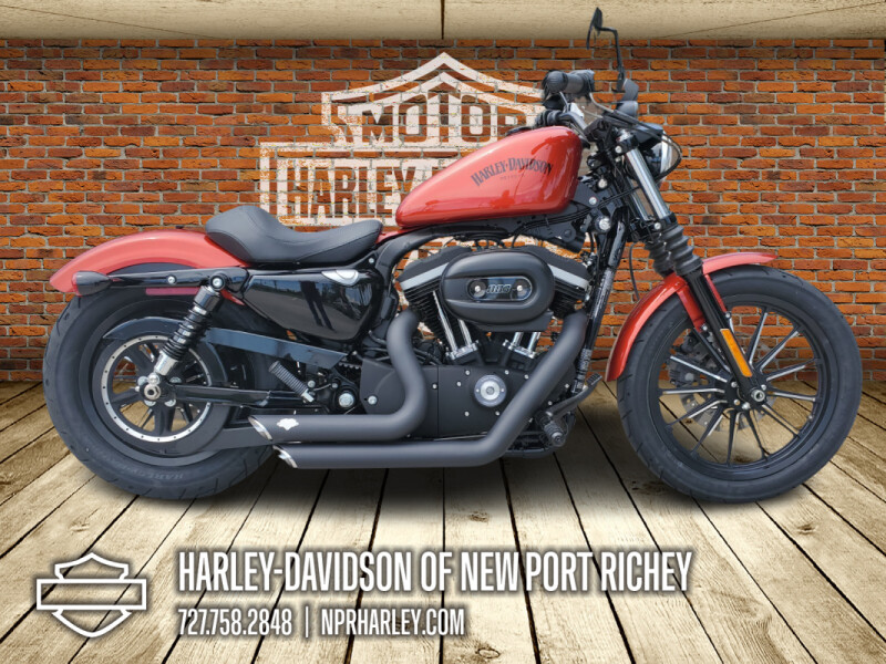 2013 Harley-Davidson® Iron 883™