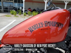 2013 Harley-Davidson® Iron 883™ thumb 1