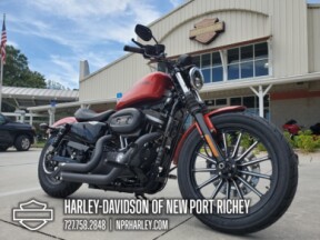 2013 Harley-Davidson® Iron 883™ thumb 2