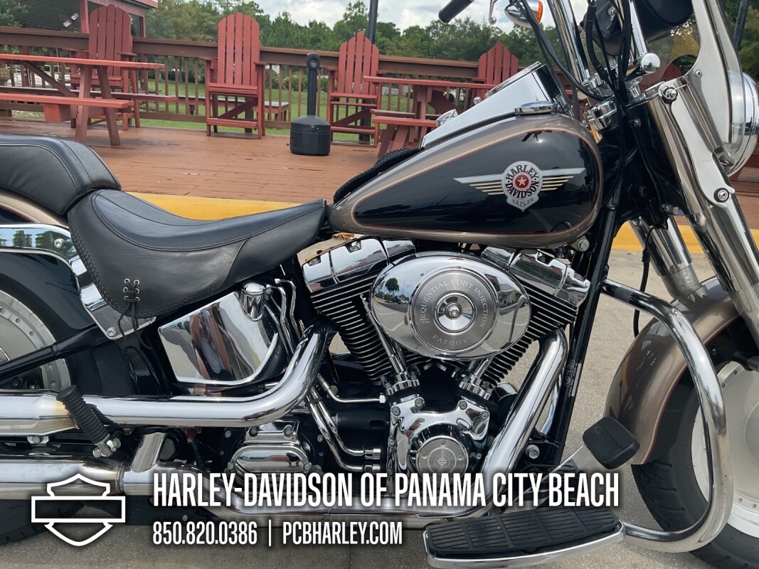 2004 Harley-Davidson Fat Boy - Photo 10