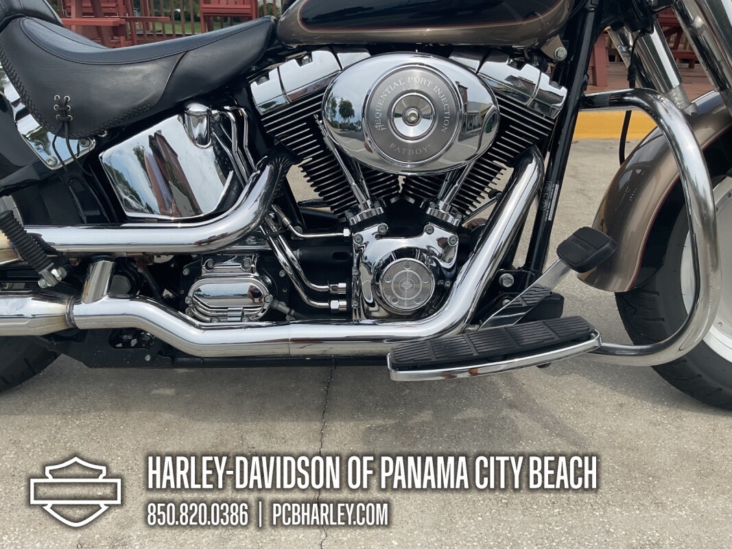2004 Harley-Davidson Fat Boy - Photo 9