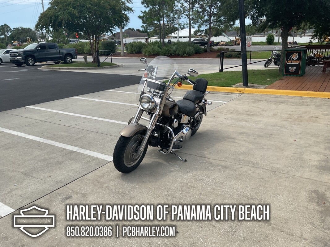 2004 Harley-Davidson Fat Boy - Photo 6