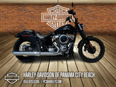 2025 Harley-Davidson® Street Bob™