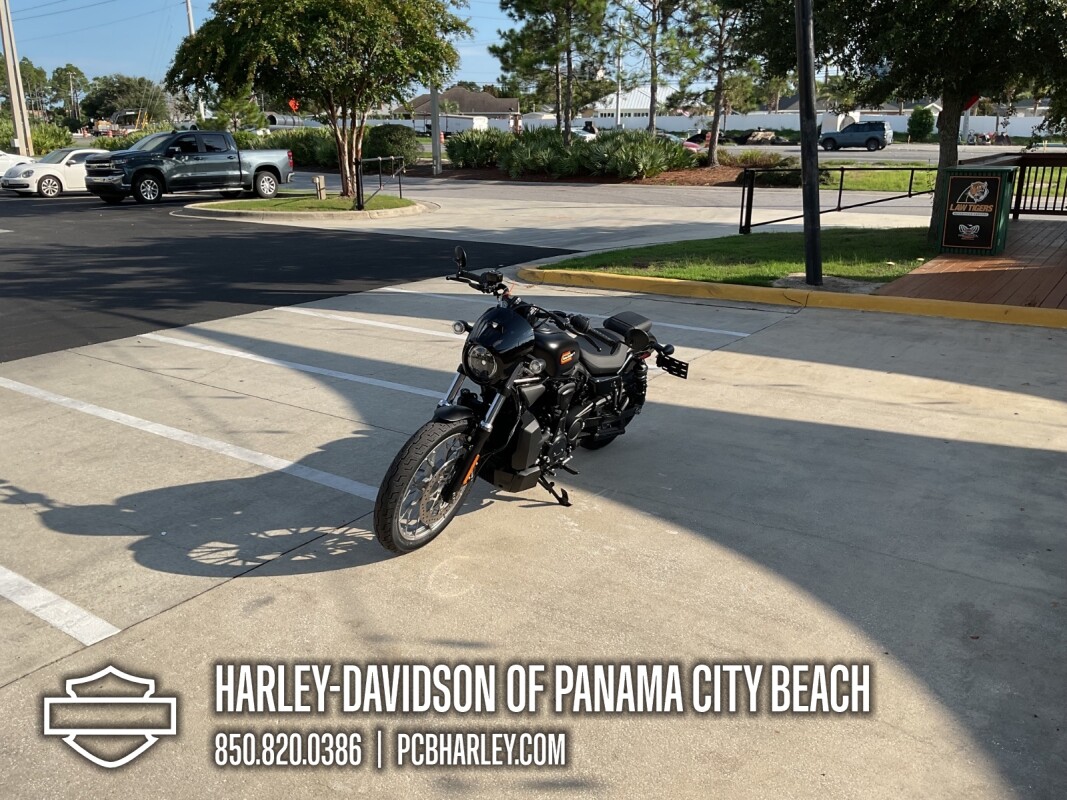 2025 Harley-Davidson Nightster Special - Photo 6