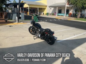 2025 Harley-Davidson® Street Bob™ thumb 1