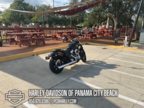 2025 Harley-Davidson® Street Bob™ thumb 3