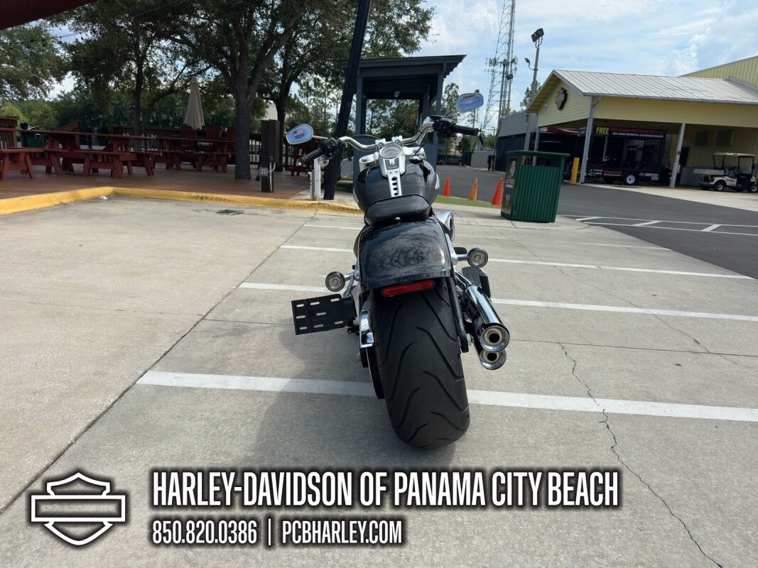 2025 Harley-Davidson Fat Boy - Photo 3