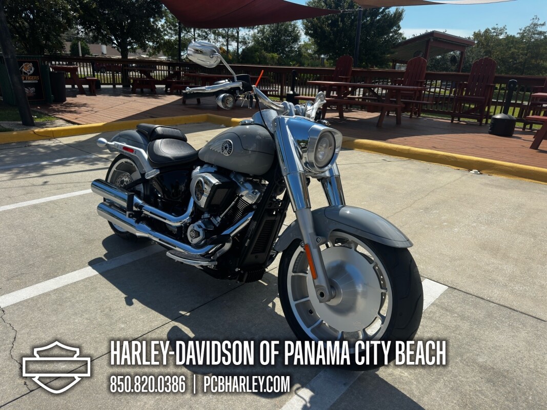 2025 Harley-Davidson Fat Boy - Photo 8