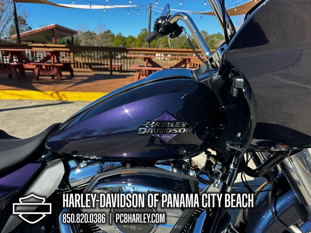 2025 Harley-Davidson Road Glide - Photo 10