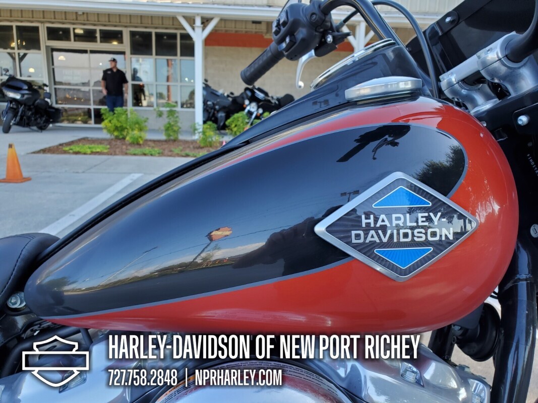 2025 Harley-Davidson Heritage Classic - Photo 4