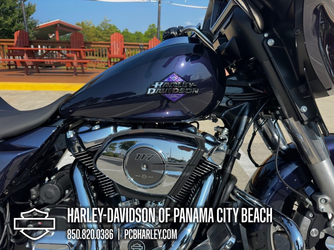 2025 Harley-Davidson Street Glide - Photo 10