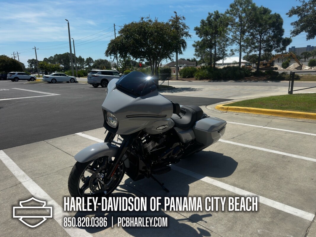 2025 Harley-Davidson Street Glide - Photo 6