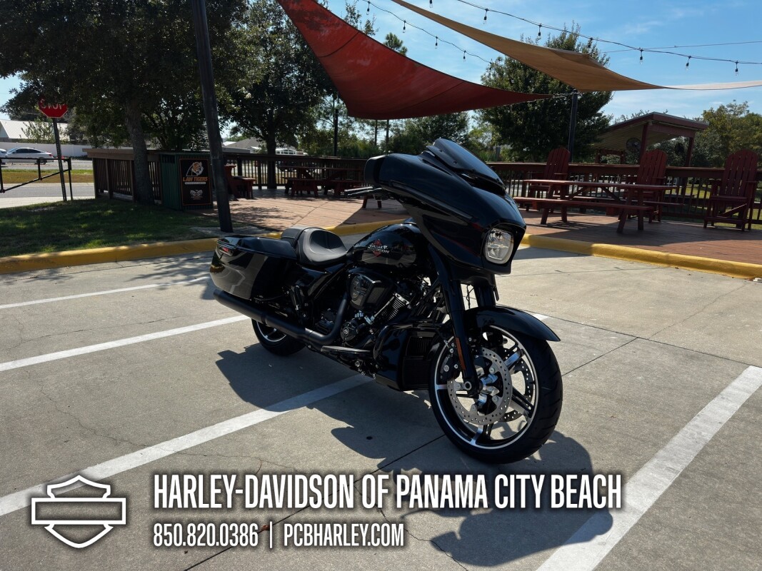 2025 Harley-Davidson Street Glide - Photo 8