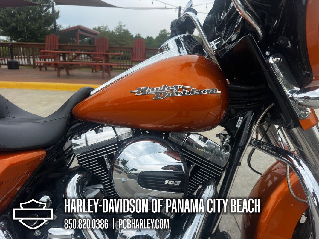 2015 Harley-Davidson Street Glide Special - Photo 10