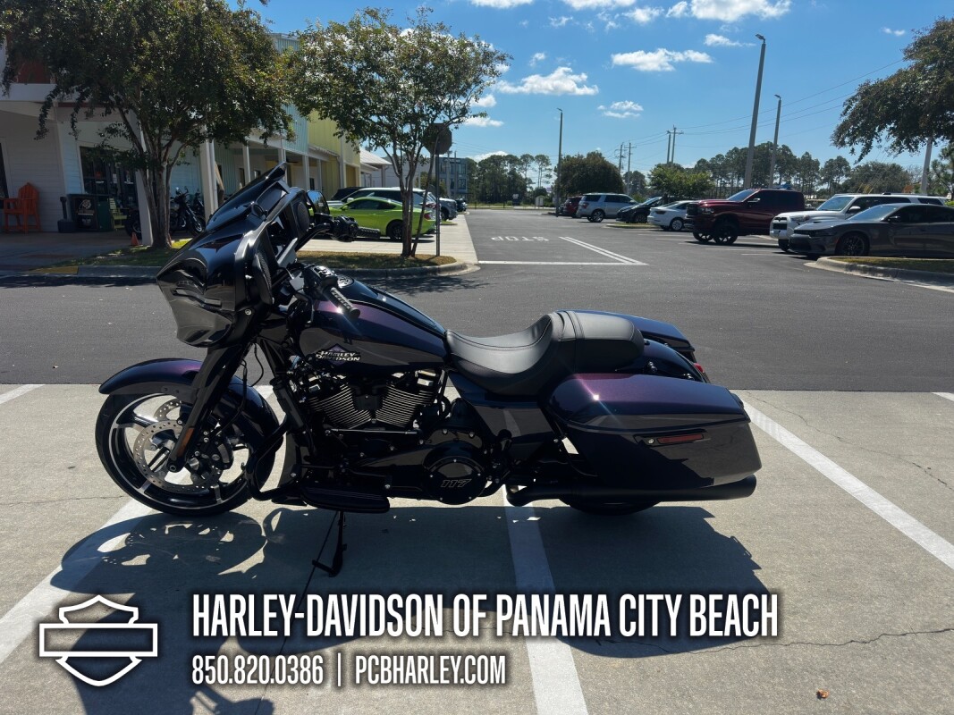 2025 Harley-Davidson Street Glide - Photo 5