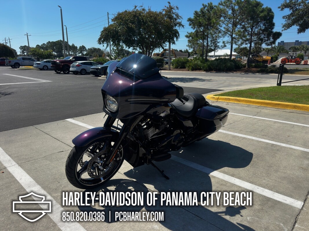 2025 Harley-Davidson Street Glide - Photo 6