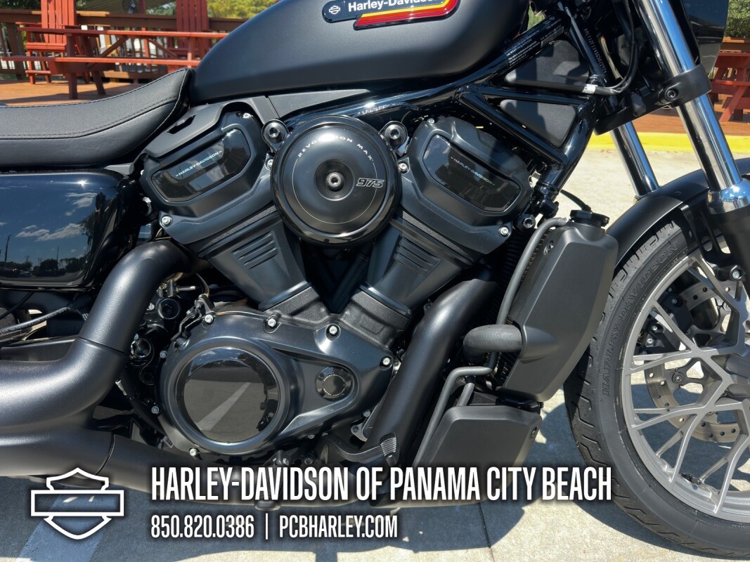 2025 Harley-Davidson Nightster Special - Photo 9