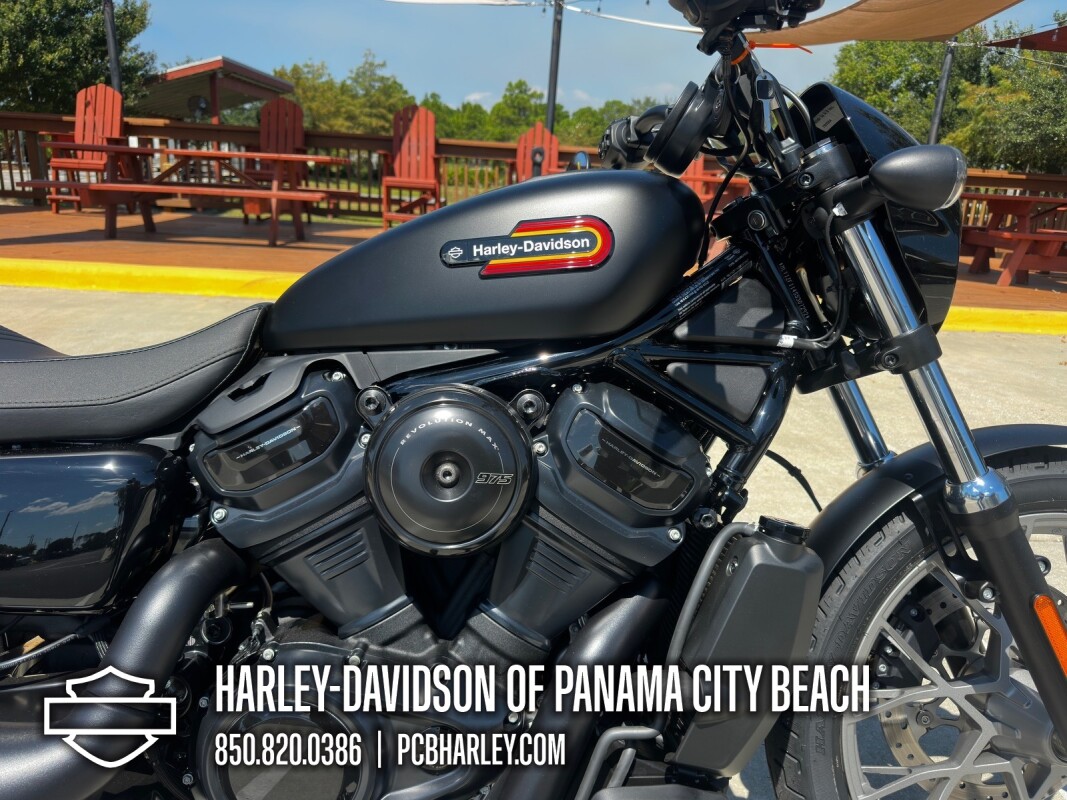 2025 Harley-Davidson Nightster Special - Photo 10