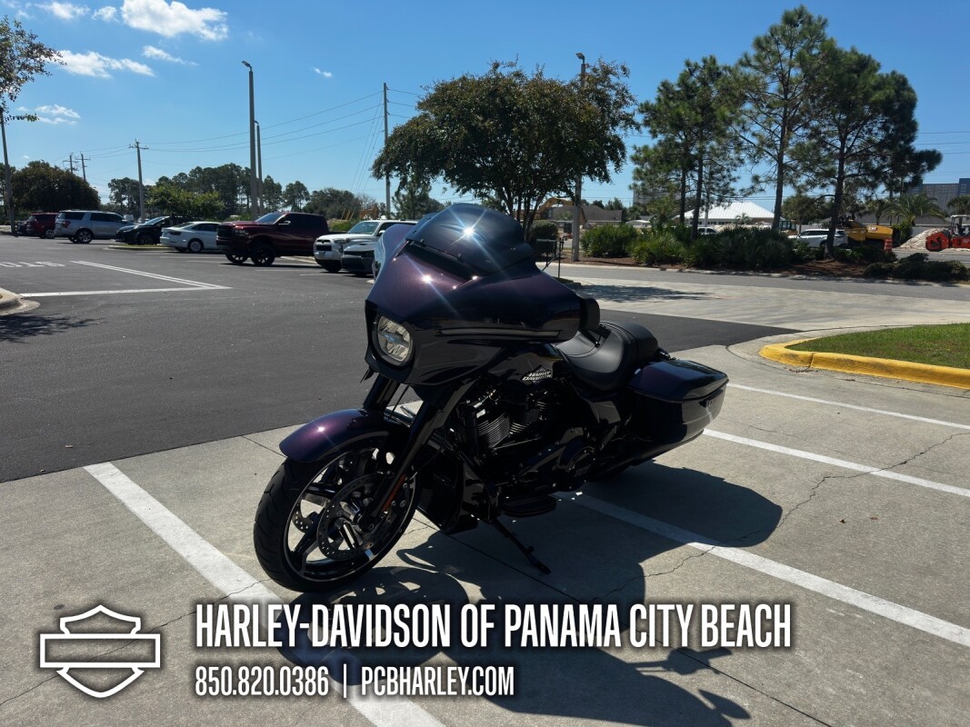 2025 Harley-Davidson Street Glide - Photo 6