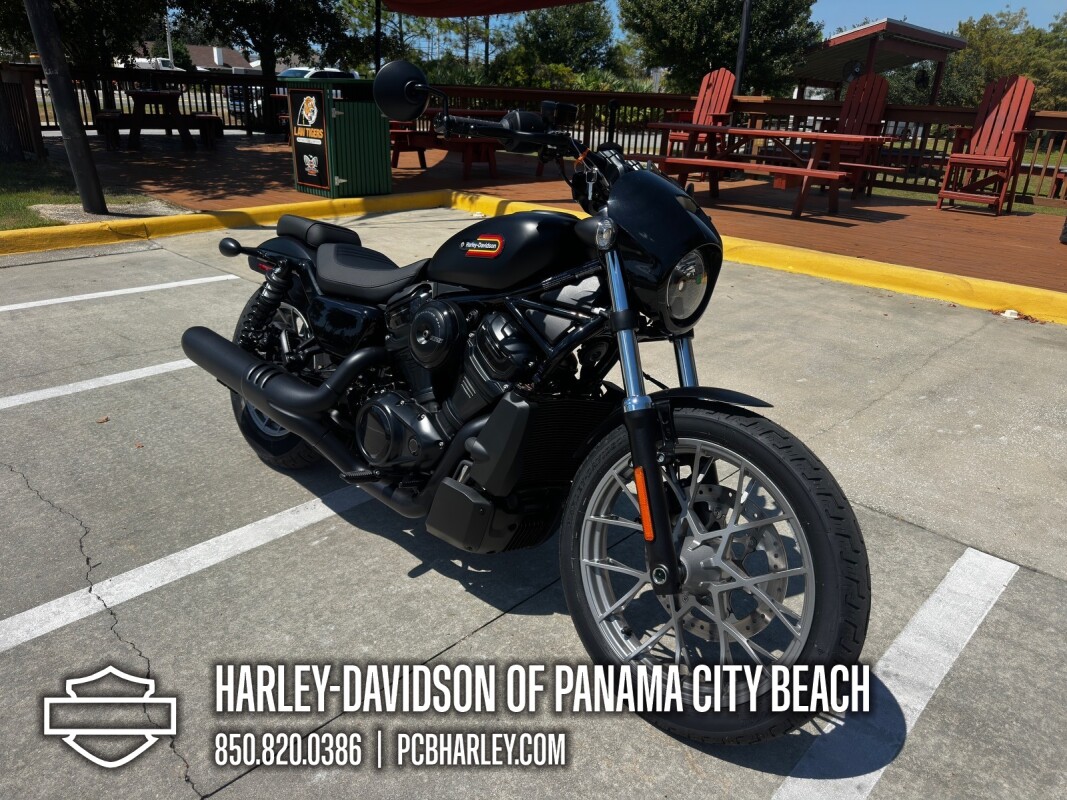 2025 Harley-Davidson Nightster Special - Photo 8