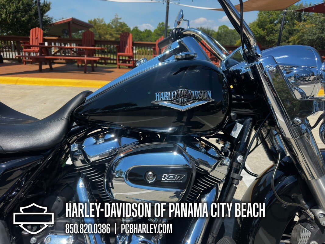 2021 Harley-Davidson Road King - Photo 10