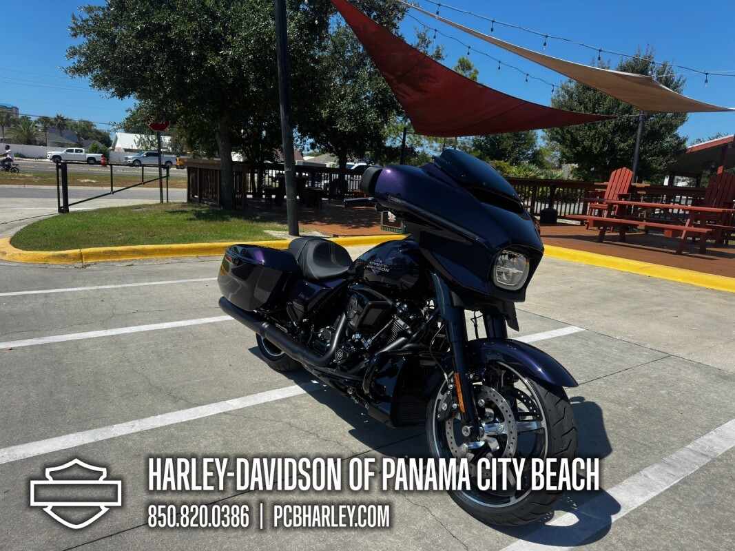 2025 Harley-Davidson Street Glide - Photo 8