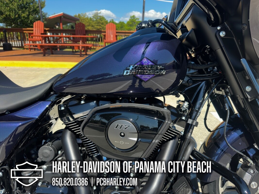 2025 Harley-Davidson Street Glide - Photo 10