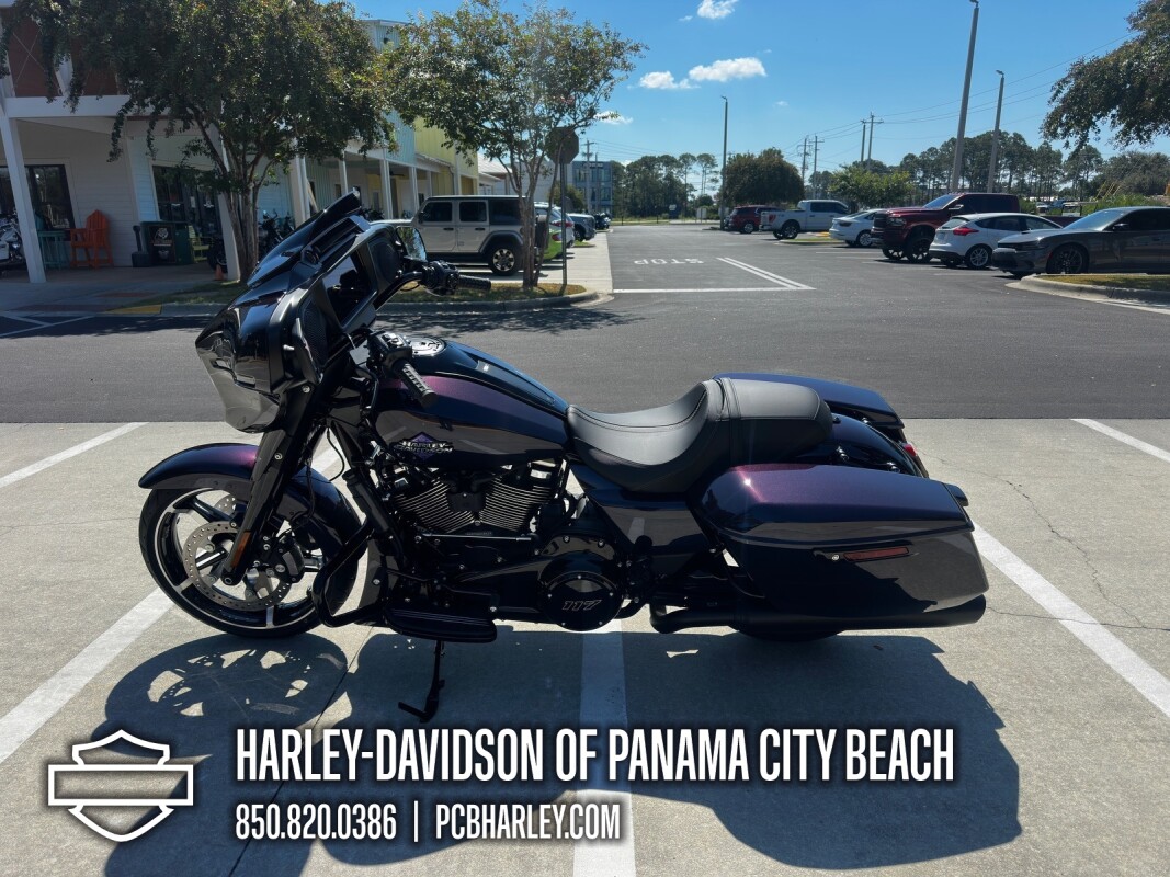 2025 Harley-Davidson Street Glide - Photo 5