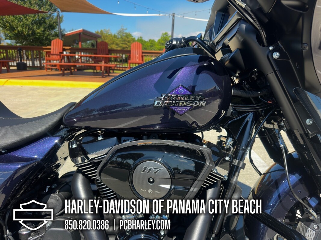 2025 Harley-Davidson Street Glide - Photo 10