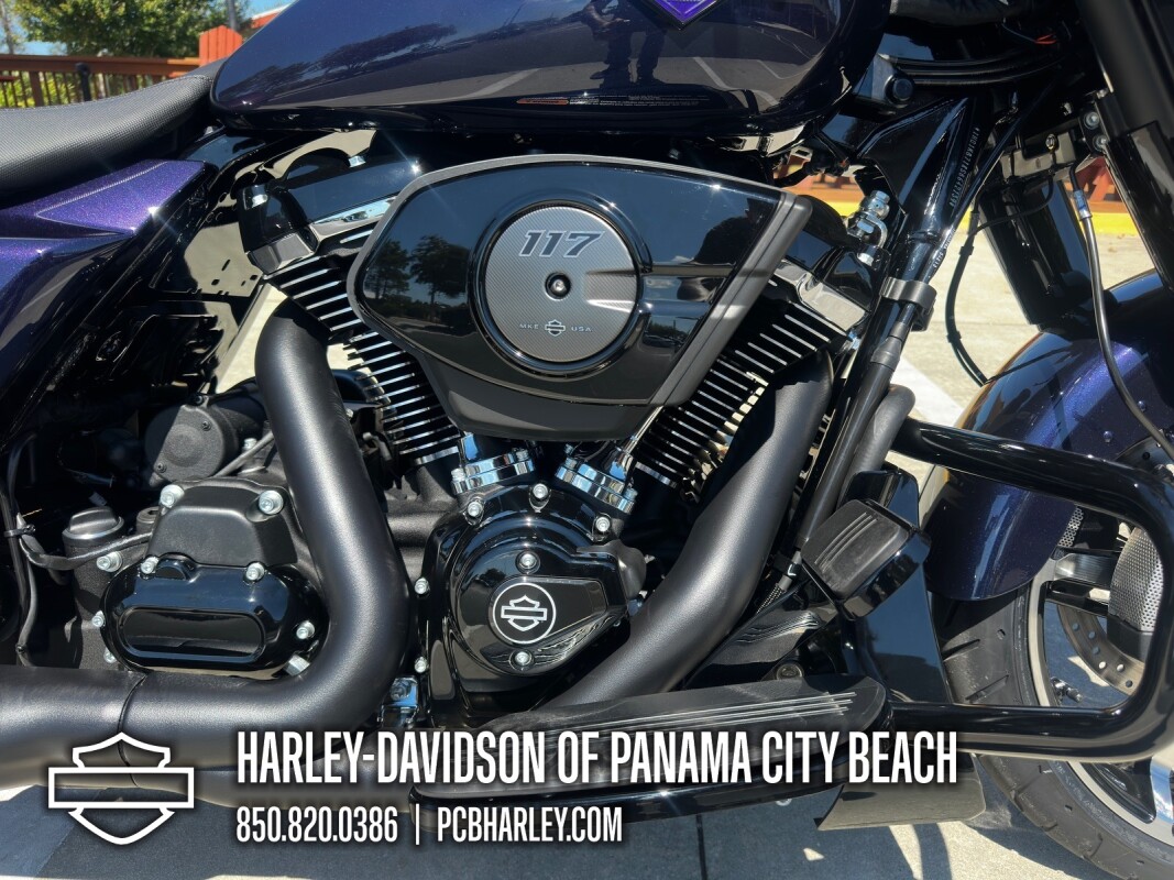 2025 Harley-Davidson Street Glide - Photo 9