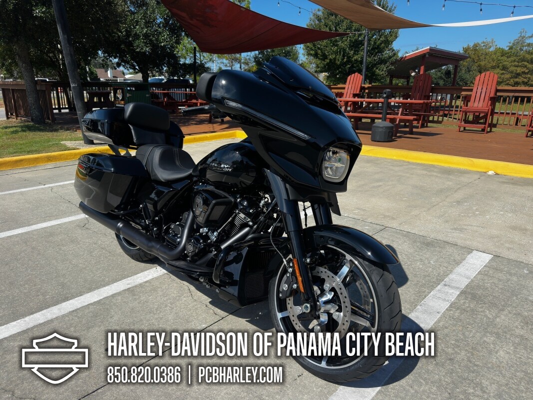 2025 Harley-Davidson Street Glide - Photo 8
