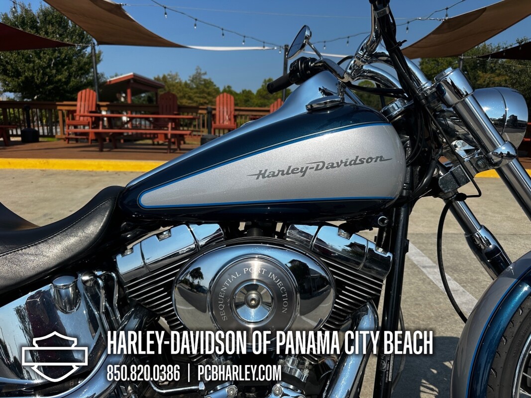 2002 Harley-Davidson Softail Deuce - Photo 10