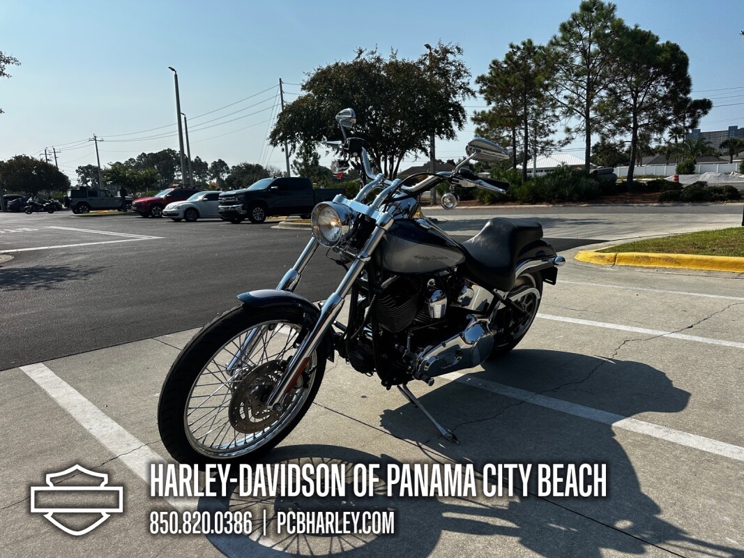 2002 Harley-Davidson Softail Deuce - Photo 6