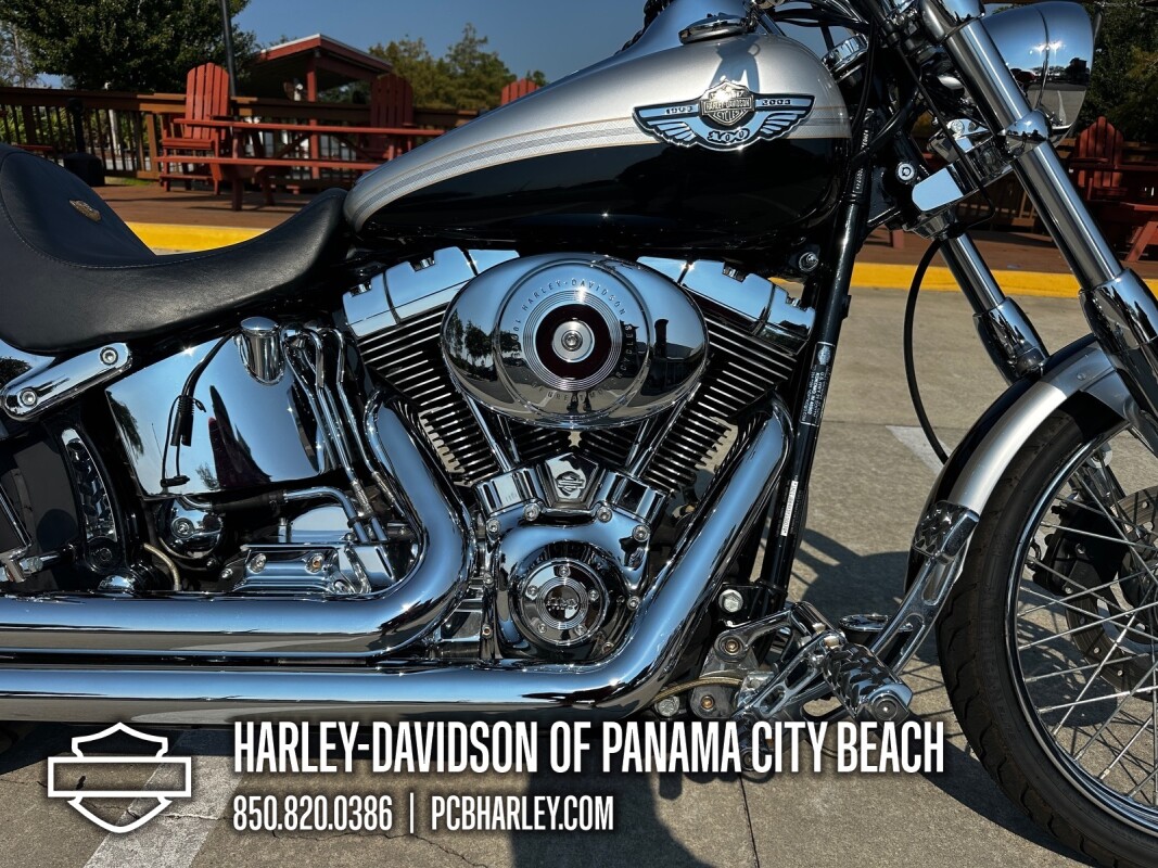 2003 Harley-Davidson Softail Deuce - Photo 9