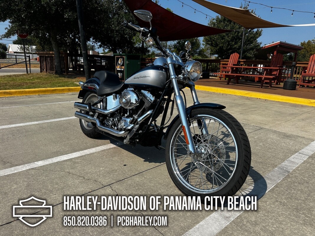 2002 Harley-Davidson Softail Deuce - Photo 8