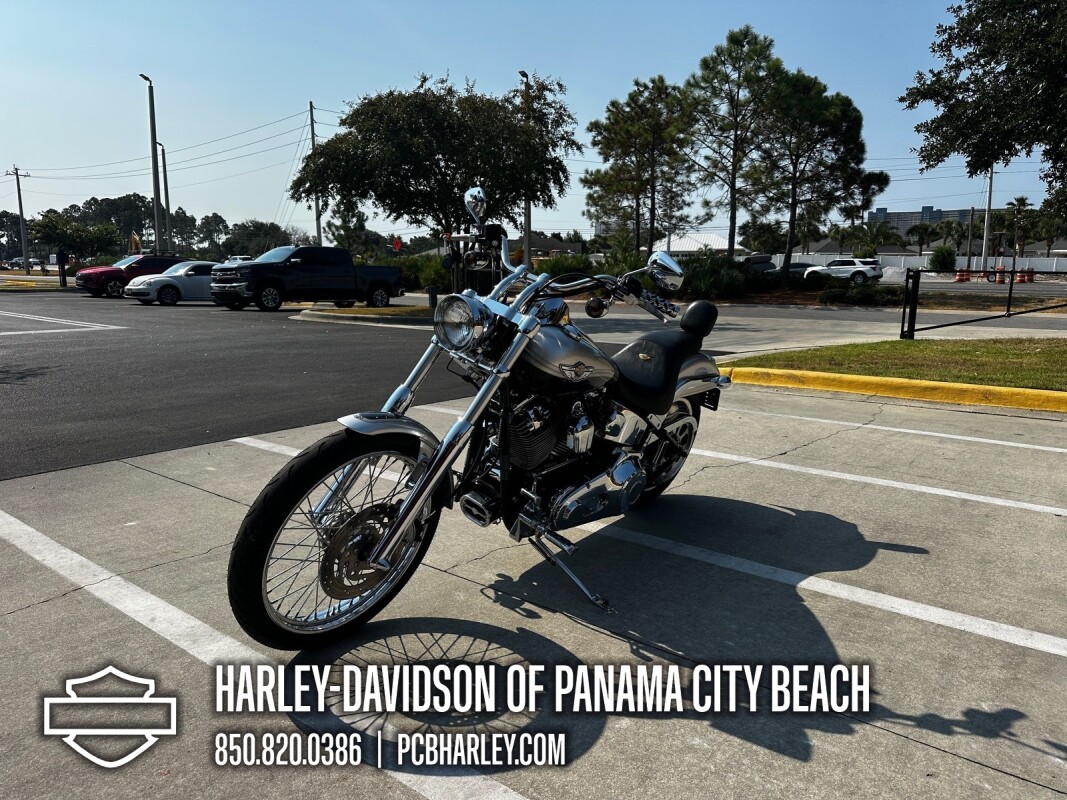 2003 Harley-Davidson Softail Deuce - Photo 6