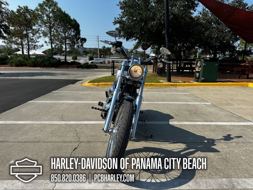 2002 Harley-Davidson Softail Deuce - Photo 7