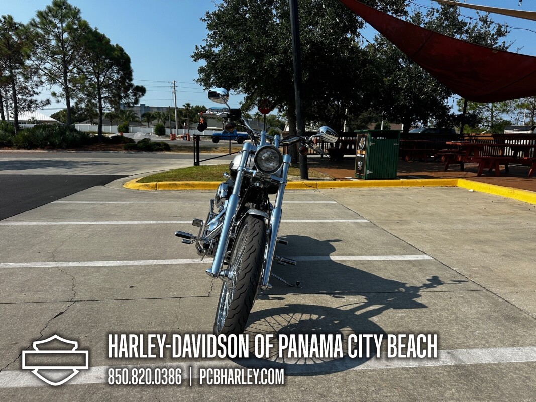 2003 Harley-Davidson Softail Deuce - Photo 7