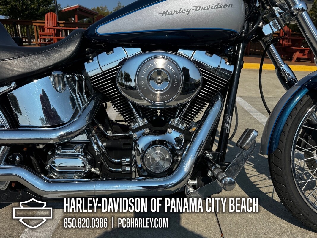 2002 Harley-Davidson Softail Deuce - Photo 9