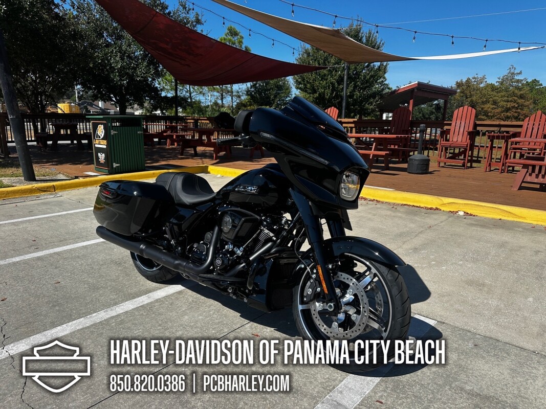 2025 Harley-Davidson Street Glide - Photo 8