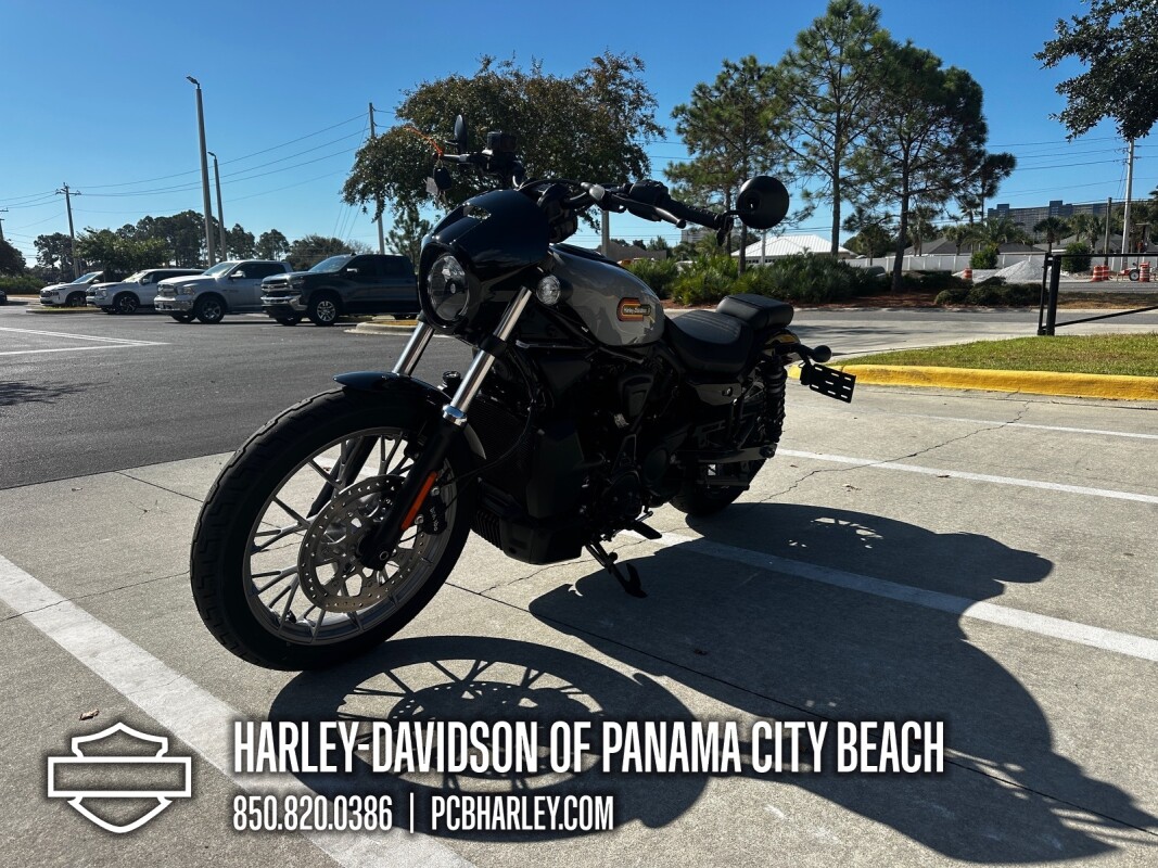 2025 Harley-Davidson Nightster Special - Photo 6