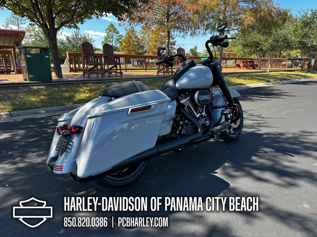 2025 Harley-Davidson Road King Special - Photo 9