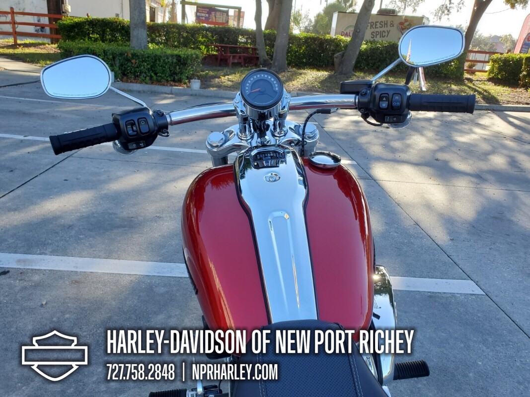 2025 Harley-Davidson Breakout - Photo 9