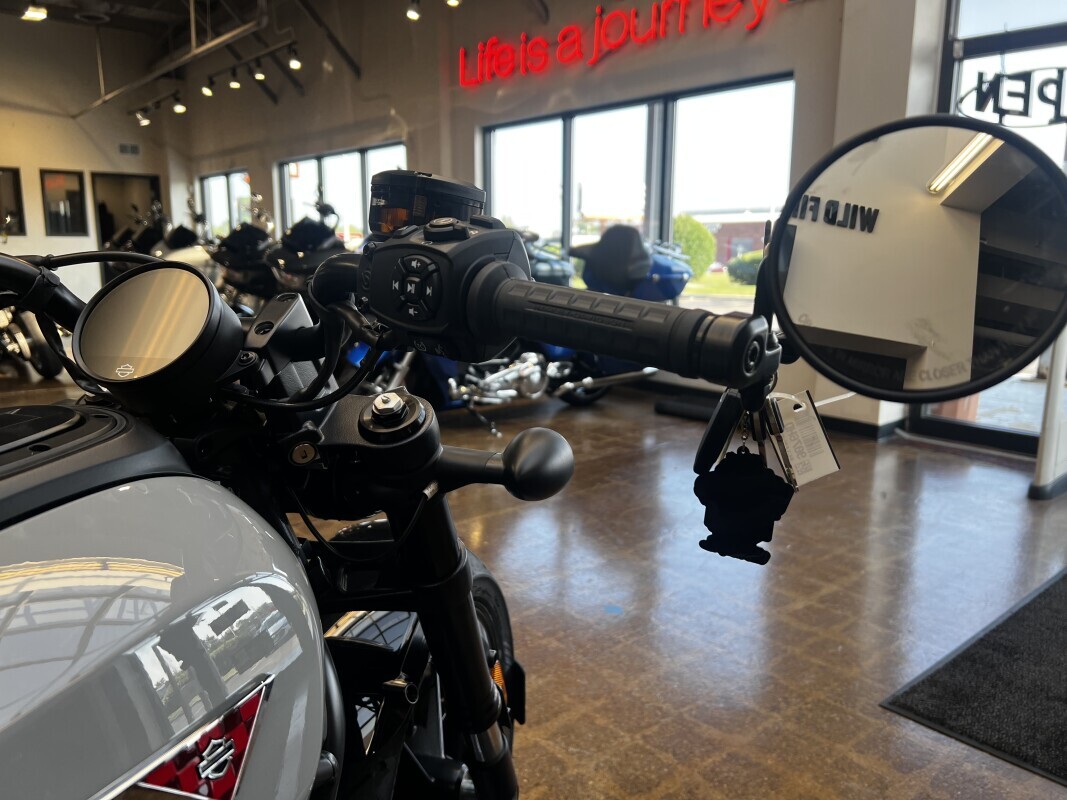 Harley-Davidson Sportster S 2025 RH1250S BILLIARD GRAY - Photo 3