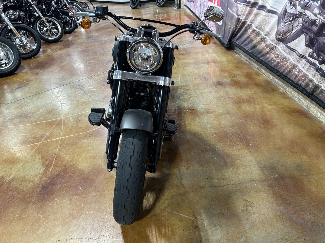 Harley-Davidson Softail Slim 2021 FLSL RVRCKGRDN/ BKDN - Photo 2