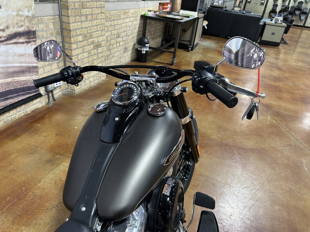 Harley-Davidson Softail Slim 2021 FLSL RVRCKGRDN/ BKDN - Photo 6