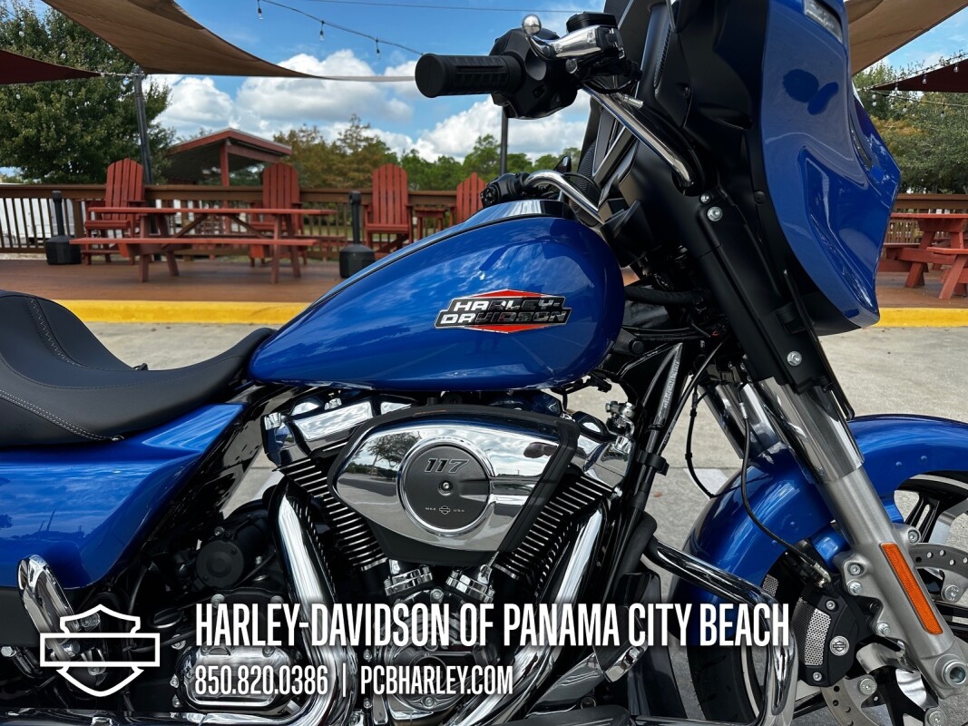 2025 Harley-Davidson Street Glide - Photo 10