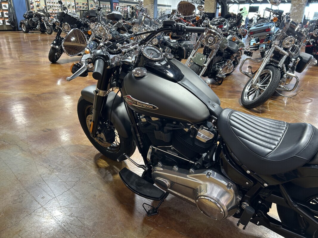 Harley-Davidson Softail Slim 2021 FLSL RVRCKGRDN/ BKDN - Photo 4