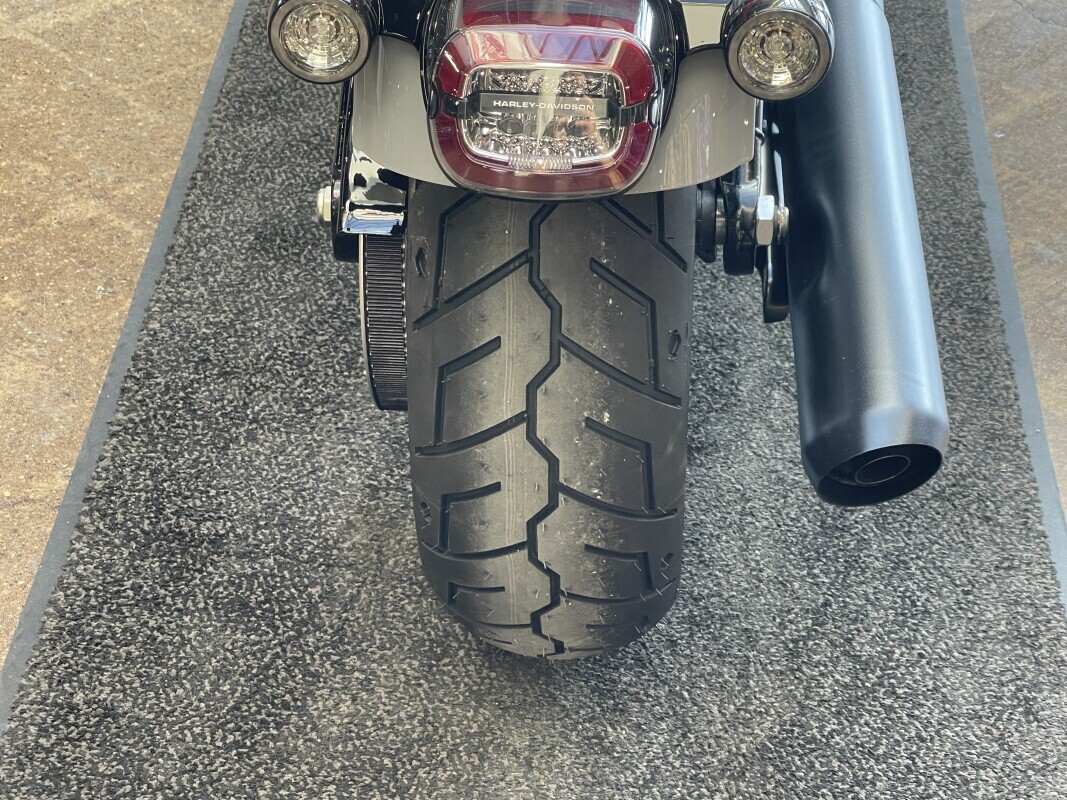 Harley-Davidson Low Rider S 2025 FXLRS BILLIARD GRAY - Photo 7